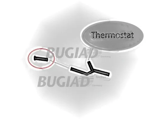 Charge Air Hose