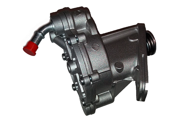 Vacuum Pump, braking system (BGT00016)