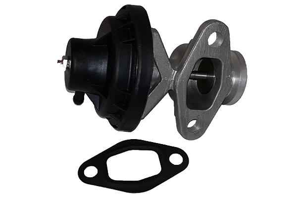 EGR Valve (BGR13026)