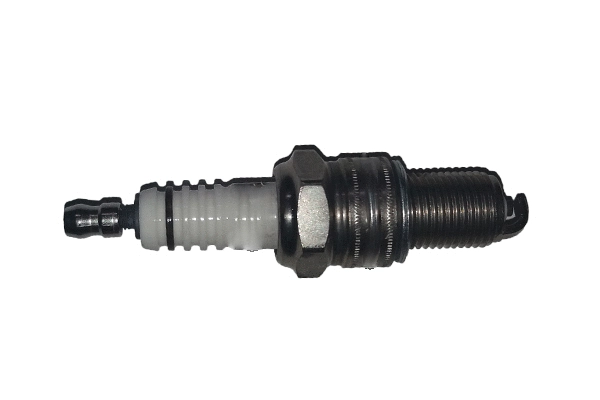 Spark Plug (BSP24723)
