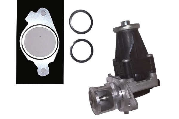 EGR Valve (BGR13090)