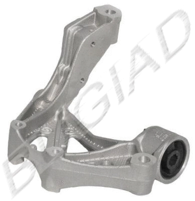 Holder, control arm mounting (BSP20326)