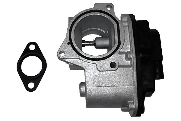 EGR Valve (BGR13009)