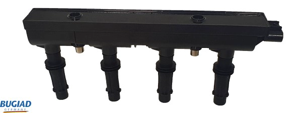 Ignition Coil (BIC19819)