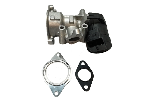 EGR Valve (BGR13065)