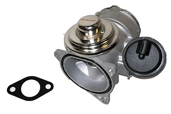 EGR Valve (BGR13017)