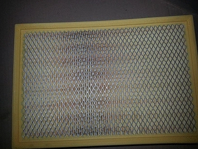 Air Filter (BSP21018)