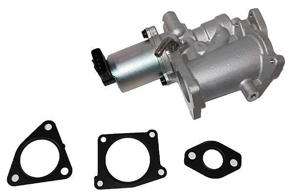 EGR Valve (BGR13093)