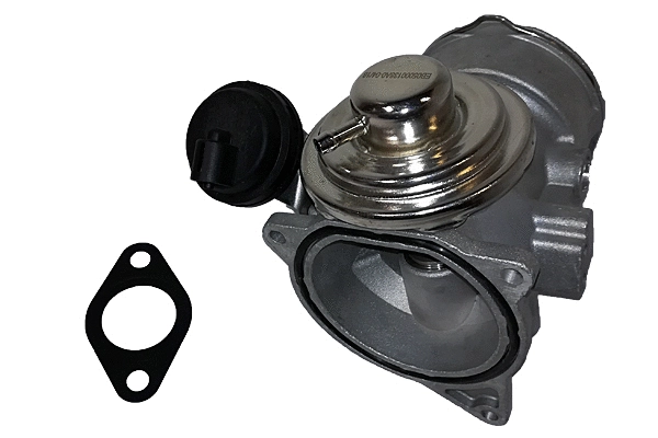 EGR Valve (BGR13016)
