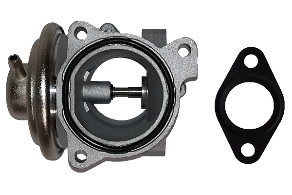 EGR Valve (BGR13019)