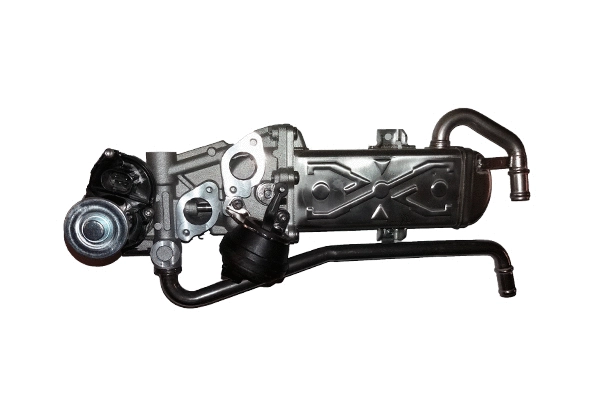 EGR Valve (BSP25012)
