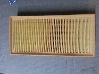 Air Filter (BSP21015)