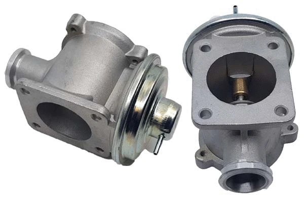 EGR Valve (BGR13085)