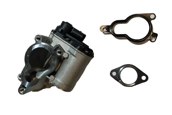 EGR Valve (BGR13072)