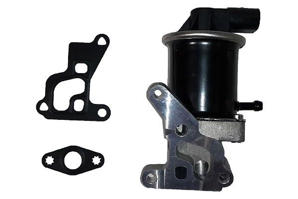 EGR Valve (BGR13011)
