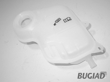 Expansion Tank, coolant (BSP20101)