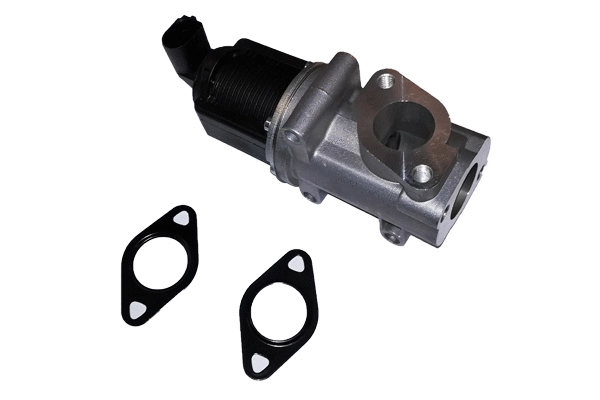 EGR Valve (BGR13045)
