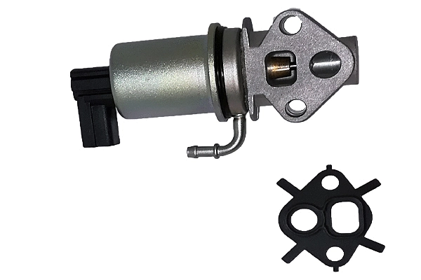 EGR Valve (BGR13001)