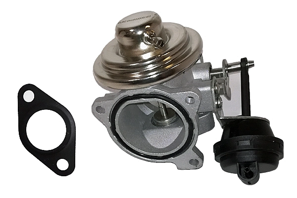 EGR Valve (BGR13006)