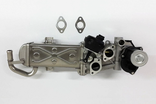 EGR Module (BSP24721)