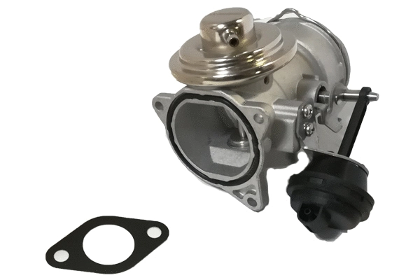 EGR Valve (BGR13007)
