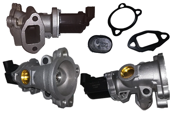 EGR Valve (BGR13052)