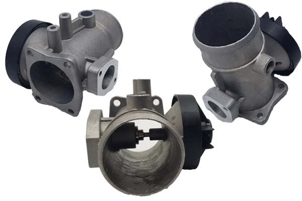 EGR Valve (BGR13081)