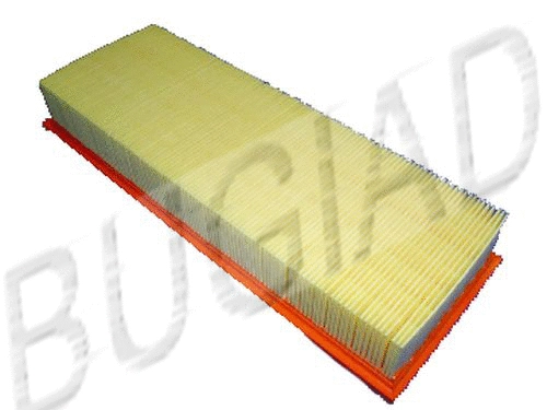 Air Filter (BSP20951)