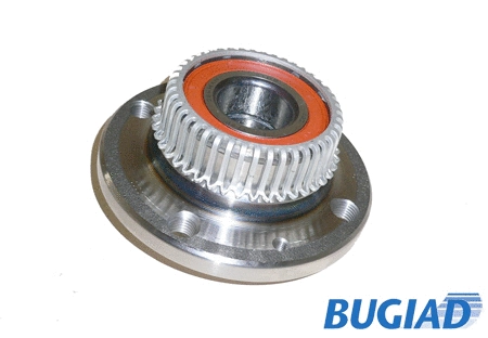 Wheel Hub (BSP20021)