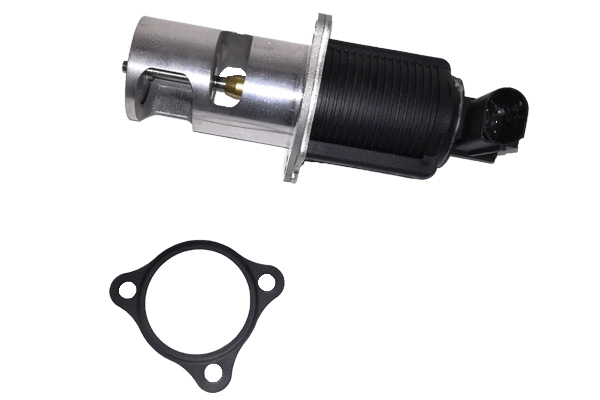 EGR Valve (BGR13043)