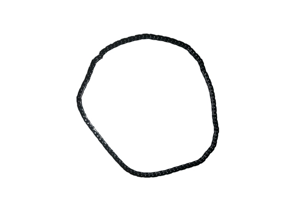 Timing Chain (BSP24576)