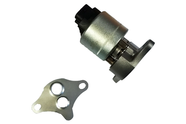 EGR Valve (BGR13029)