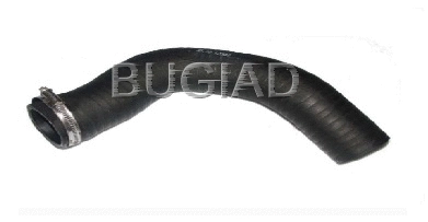 Charge Air Hose (81640)