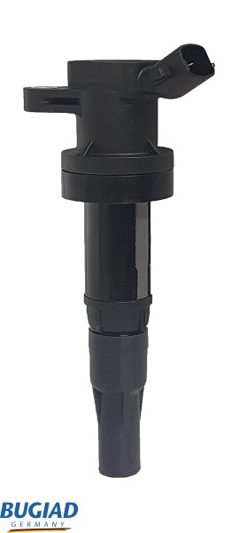 Ignition Coil (BIC19802)
