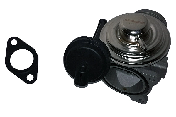 EGR Valve (BGR13021)