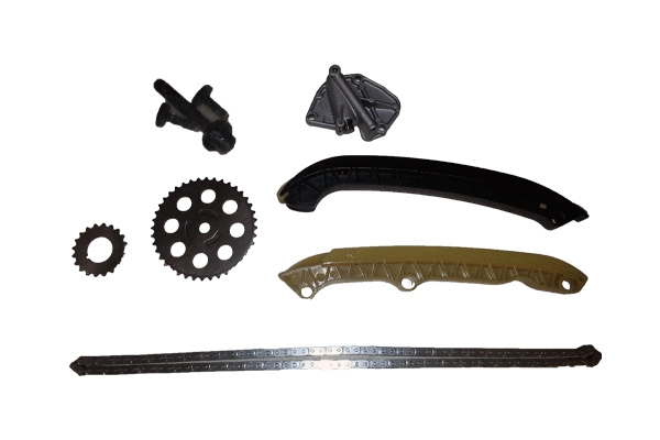 Timing Chain Kit (BSP24580)