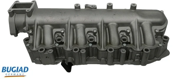 Intake Manifold Module (BIM17007)