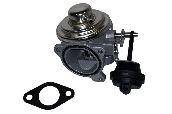 EGR Valve (BGR13020)