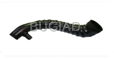 Charge Air Hose (81619)