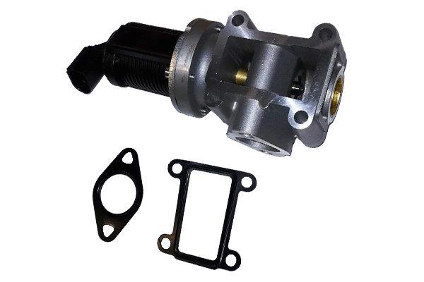 EGR Valve (BGR13042)