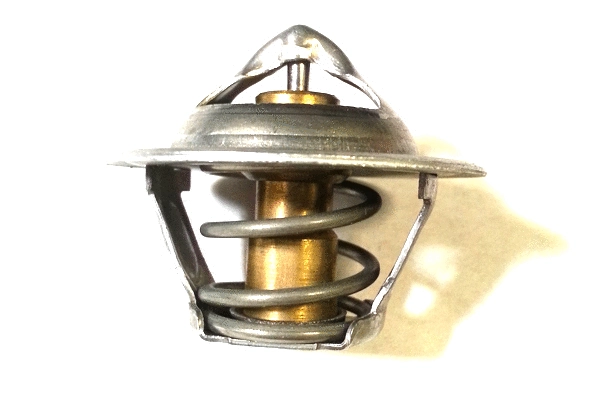 Thermostat, coolant (BSP24724)