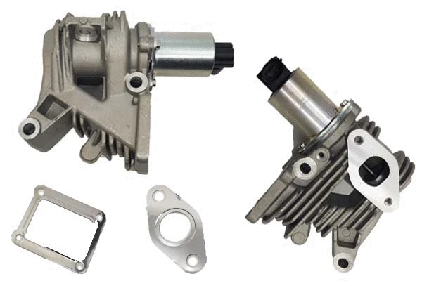 EGR Valve (BGR13073)