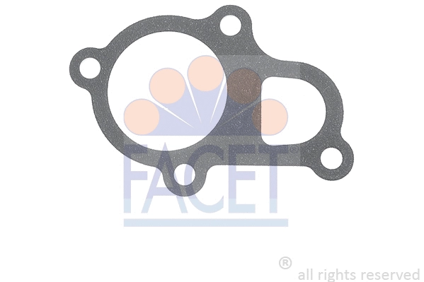 Seal, thermostat (7.9589)