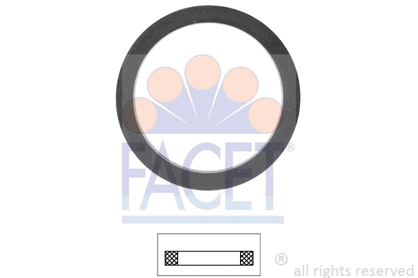 Seal, thermostat (7.9539)