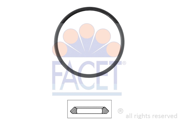 Seal, thermostat (7.9655)