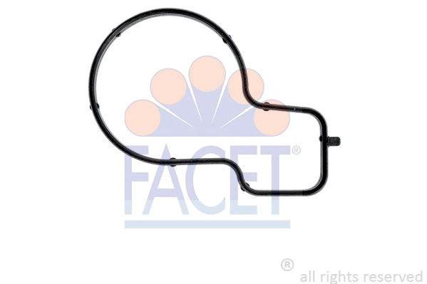 Seal, thermostat (7.9724)