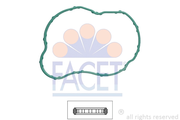 Seal, thermostat (7.9702)