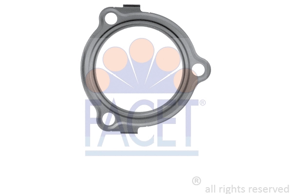 Seal, thermostat (7.9515)