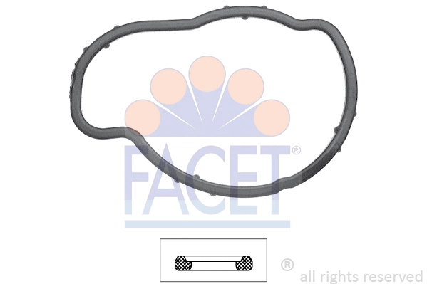 Seal, thermostat (7.9573)