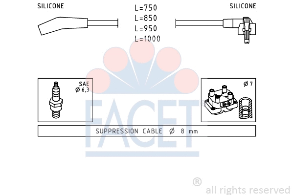 Ignition Cable Kit (4.9639)